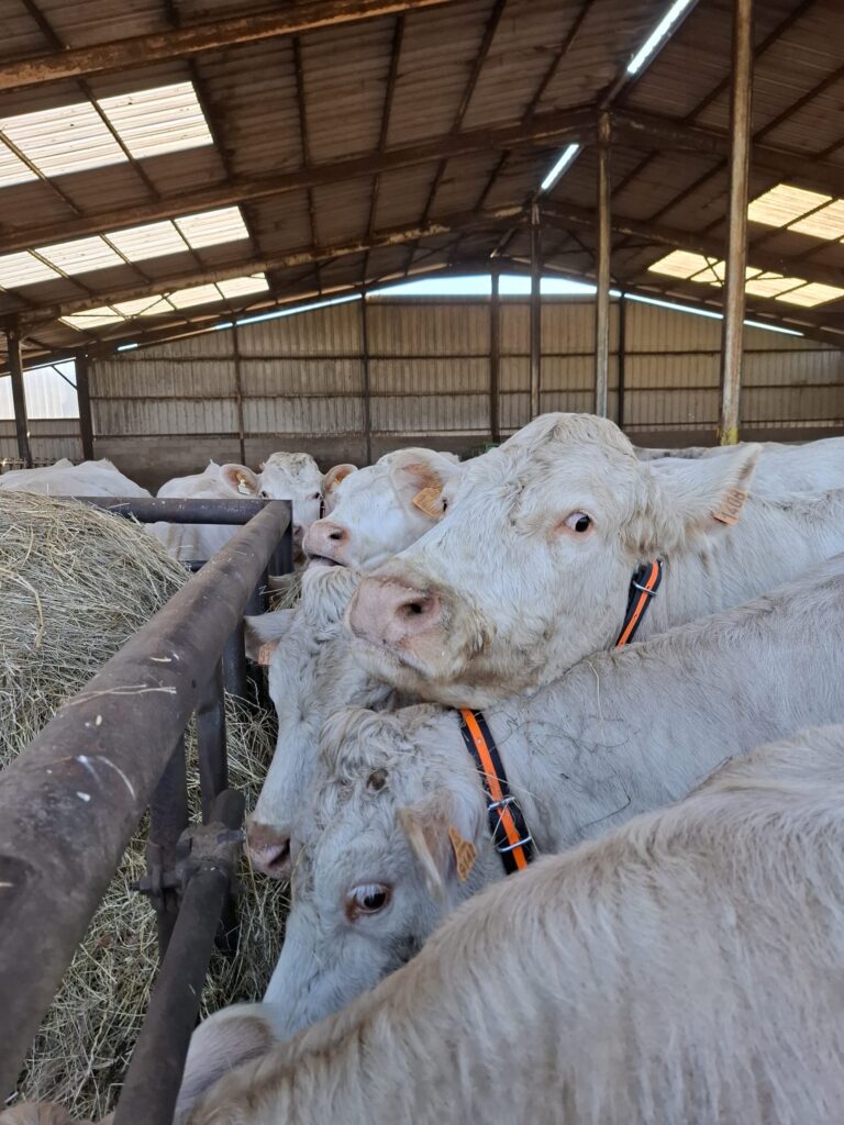 WhatsApp Image 2025-06-09 at 15.53.24 (2)