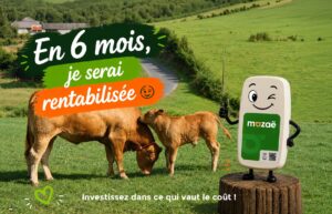 En 6 mois je serai rentabilisée