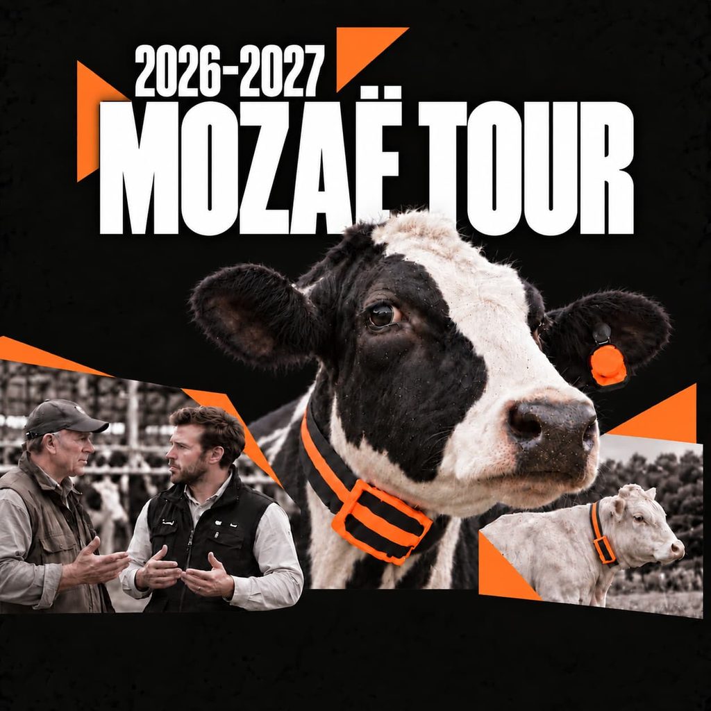 Mozaë tour 2026-2027